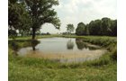 Property photo 1 - 160 Acres Offered in 6 Tracts